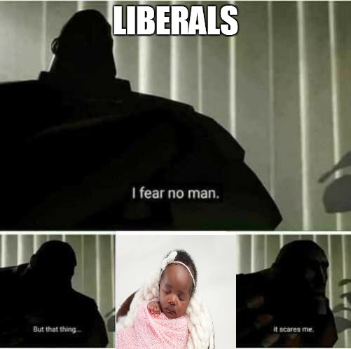 they LOVE murdering babies | LIBERALS | image tagged in i fear no man | made w/ Imgflip meme maker