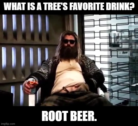 Daily Bad Dad Joke 07/08/2022 | WHAT IS A TREE'S FAVORITE DRINK? ROOT BEER. | image tagged in thor endgame | made w/ Imgflip meme maker