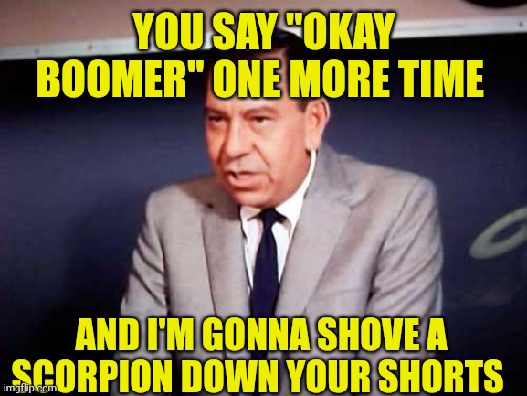 Sgt. Joe Friday-DRAGNET | YOU SAY "OKAY BOOMER" ONE MORE TIME; AND I'M GONNA SHOVE A SCORPION DOWN YOUR SHORTS | image tagged in sgt joe friday-dragnet | made w/ Imgflip meme maker