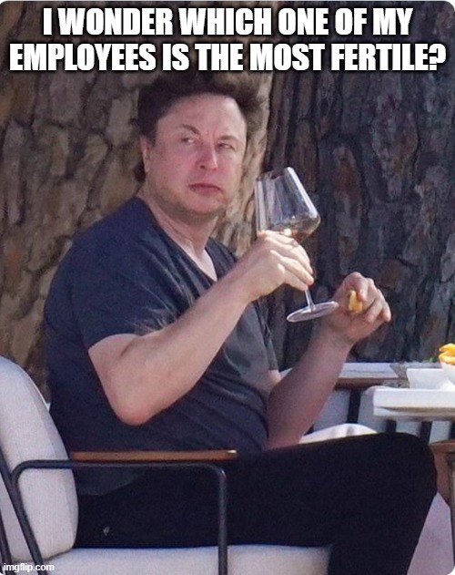 Elon Musk Employees Fertile? | I WONDER WHICH ONE OF MY EMPLOYEES IS THE MOST FERTILE? | image tagged in elon,musk,elon musk,fertile,babies | made w/ Imgflip meme maker