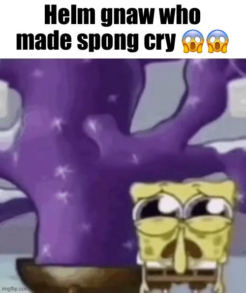 Zad Spunchbop | Helm gnaw who made spong cry 😱😱 | image tagged in zad spunchbop | made w/ Imgflip meme maker