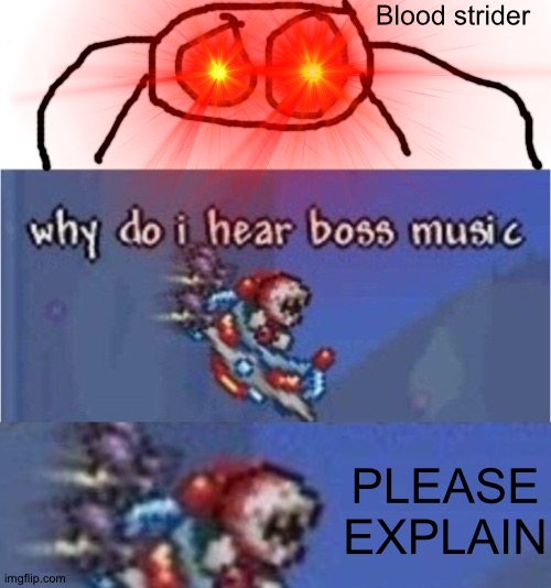 Blood strider; PLEASE EXPLAIN | image tagged in why do i hear boss music | made w/ Imgflip meme maker