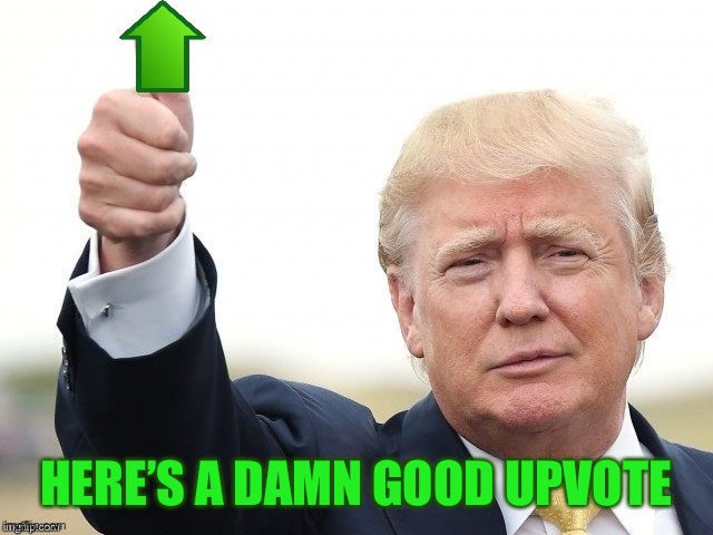 Trump Upvote | HERE’S A DAMN GOOD UPVOTE | image tagged in trump upvote | made w/ Imgflip meme maker