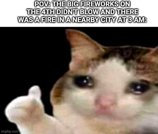 This actually happened to my family | POV: THE BIG FIREWORKS ON THE 4TH DIDN'T BLOW AND THERE WAS A FIRE IN A NEARBY CITY AT 3 AM: | image tagged in sad cat thumbs up | made w/ Imgflip meme maker