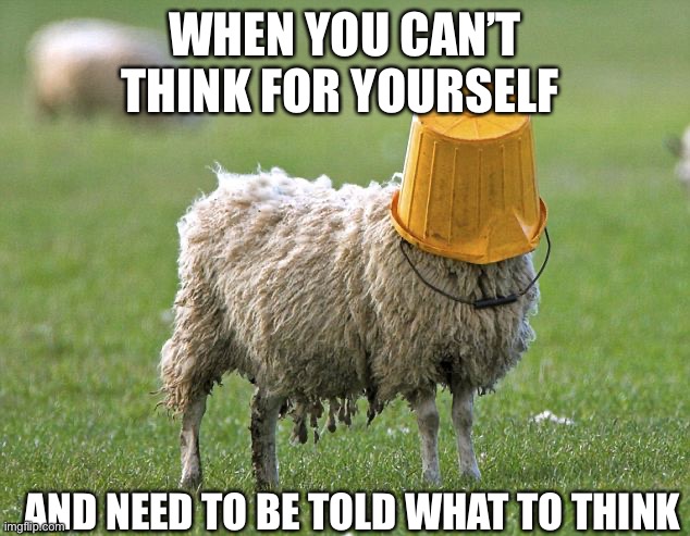 stupid sheep | WHEN YOU CAN’T THINK FOR YOURSELF AND NEED TO BE TOLD WHAT TO THINK | image tagged in stupid sheep | made w/ Imgflip meme maker