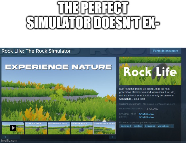 Yes | THE PERFECT SIMULATOR DOESN'T EX- | image tagged in simulation,rock,never gonna give you up,never gonna run around,and desert you,oh wow are you actually reading these tags | made w/ Imgflip meme maker