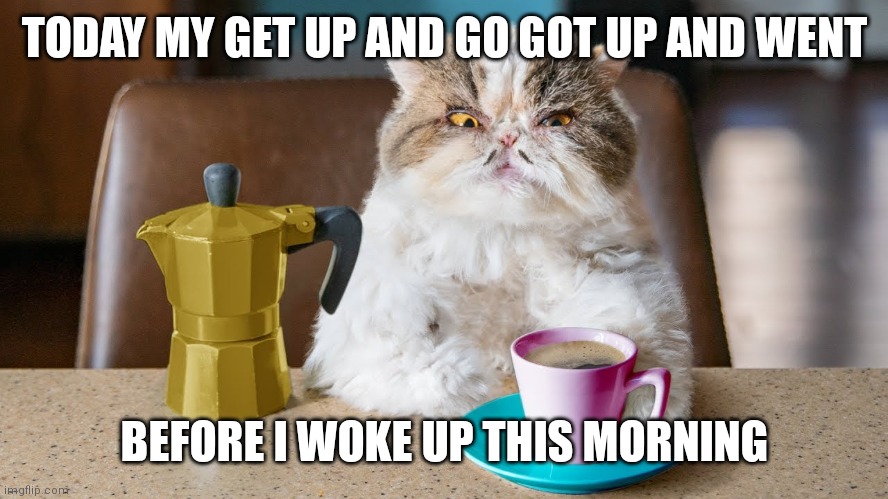 Coffee cat | TODAY MY GET UP AND GO GOT UP AND WENT; BEFORE I WOKE UP THIS MORNING | image tagged in coffee cat | made w/ Imgflip meme maker