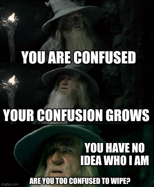 Confused Gandalf Meme | YOU ARE CONFUSED YOUR CONFUSION GROWS YOU HAVE NO IDEA WHO I AM ARE YOU TOO CONFUSED TO WIPE? | image tagged in memes,confused gandalf | made w/ Imgflip meme maker