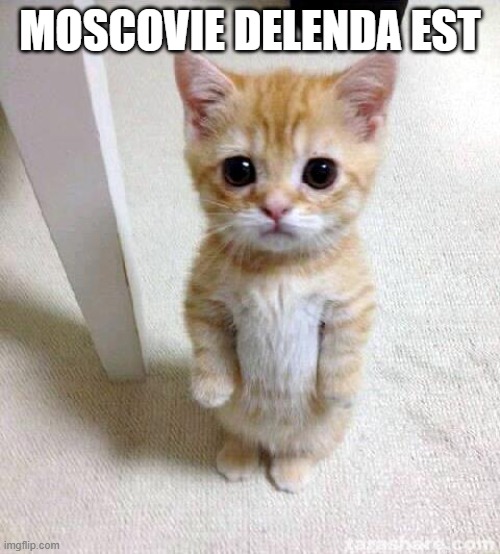 Moscow | MOSCOVIE DELENDA EST | image tagged in memes,cute cat | made w/ Imgflip meme maker
