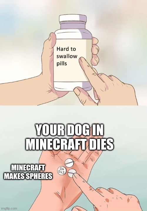 Hard To Swallow Pills | YOUR DOG IN MINECRAFT DIES; MINECRAFT MAKES SPHERES | image tagged in memes,hard to swallow pills | made w/ Imgflip meme maker