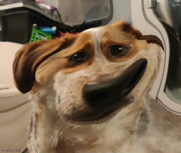 Troll face | made w/ Imgflip meme maker