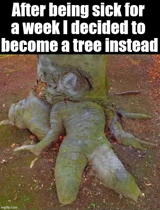 I have the 2nd version of Covid and it just lasts ... |  After being sick for 
a week I decided to 
become a tree instead | image tagged in human,sick  tired,that feeling when,witchcraft | made w/ Imgflip meme maker