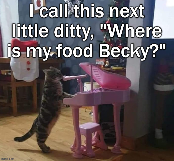 Cat singing it's song to you |  I call this next little ditty, "Where is my food Becky?" | image tagged in cats,singing,food | made w/ Imgflip meme maker
