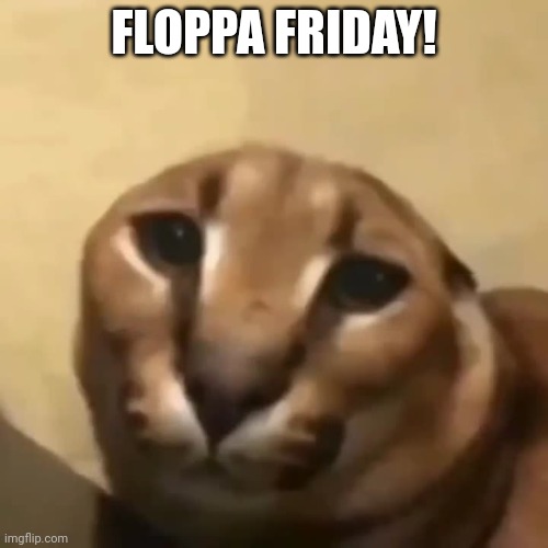 big floppa | FLOPPA FRIDAY! | image tagged in big floppa | made w/ Imgflip meme maker