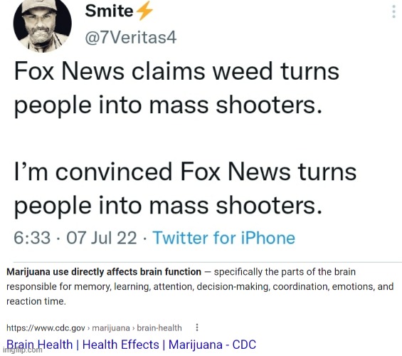 Fox News isn't wrong entirely | image tagged in fox news | made w/ Imgflip meme maker