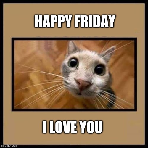 Cat and Coffee | HAPPY FRIDAY; I LOVE YOU | image tagged in cat and coffee,happy friday,kitty,coffee,weekend,i love you | made w/ Imgflip meme maker