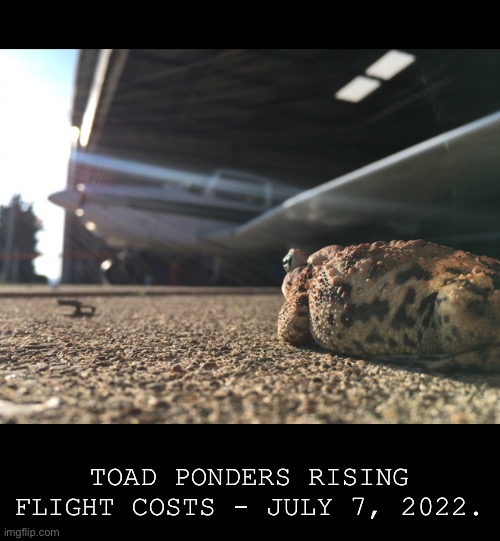 I know, toad. I know | TOAD PONDERS RISING FLIGHT COSTS - JULY 7, 2022. | image tagged in fake news,toad,flying,aviation,inflation | made w/ Imgflip meme maker