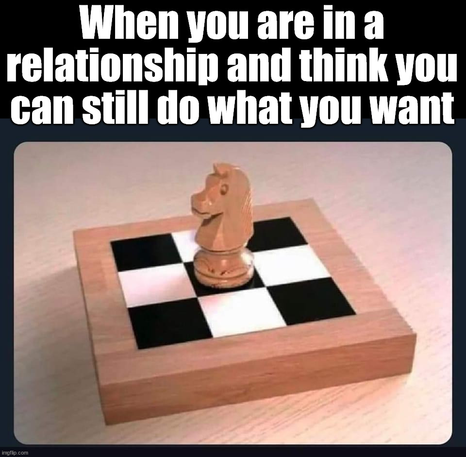 When you are in a relationship and think you can still do what you want | image tagged in relationships | made w/ Imgflip meme maker