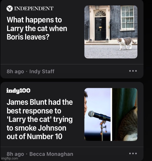 Priorities to Larry the Cat | made w/ Imgflip meme maker