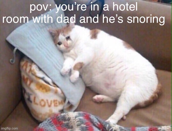 not happening to me rn /srs | pov: you’re in a hotel room with dad and he’s snoring | image tagged in crying cat,just a meme guys,just a meme | made w/ Imgflip meme maker