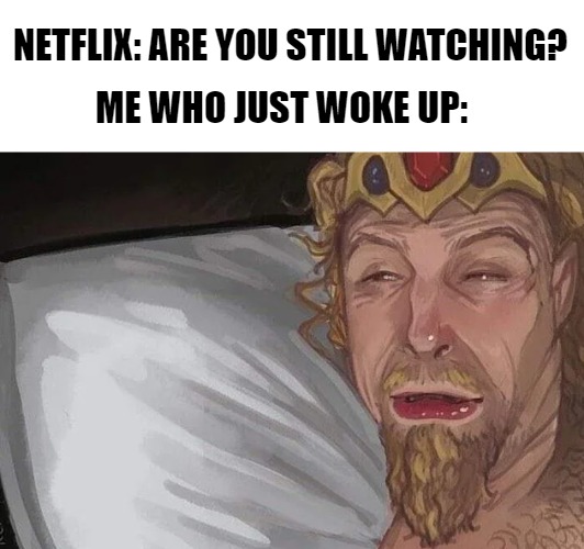 are you still watching? | NETFLIX: ARE YOU STILL WATCHING? ME WHO JUST WOKE UP: | image tagged in jarl balgruuf,skyrim,netflix | made w/ Imgflip meme maker