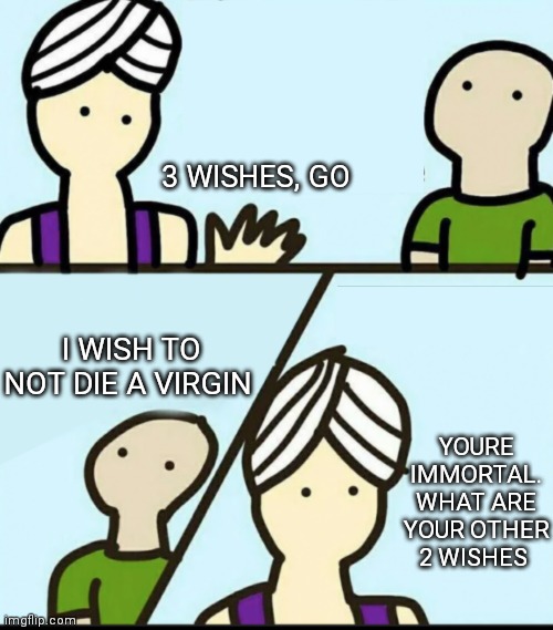 3 rules blank | 3 WISHES, GO; I WISH TO NOT DIE A VIRGIN; YOURE IMMORTAL. WHAT ARE YOUR OTHER 2 WISHES | image tagged in 3 rules blank | made w/ Imgflip meme maker