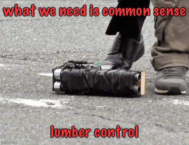 No one really needs metal pipes and scraps of wood | what we need is common sense; lumber control | made w/ Imgflip meme maker