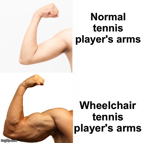 Their biceps are bigger than the entire country of Eswatini | Normal tennis player's arms; Wheelchair tennis player's arms | image tagged in memes | made w/ Imgflip meme maker