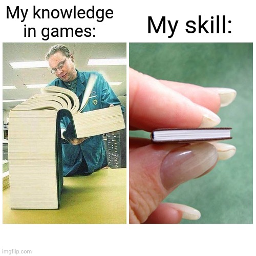 ... | My skill:; My knowledge in games: | image tagged in big book vs little book | made w/ Imgflip meme maker