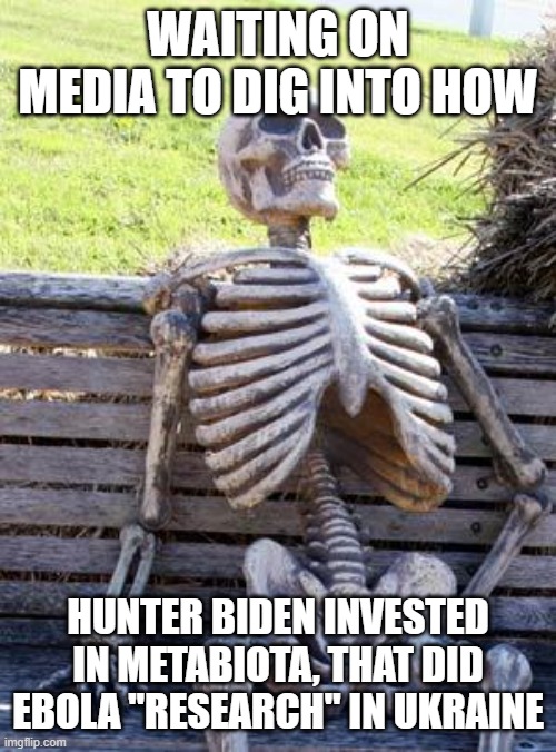 not malarkey | WAITING ON MEDIA TO DIG INTO HOW; HUNTER BIDEN INVESTED IN METABIOTA, THAT DID EBOLA "RESEARCH" IN UKRAINE | image tagged in memes,waiting skeleton | made w/ Imgflip meme maker