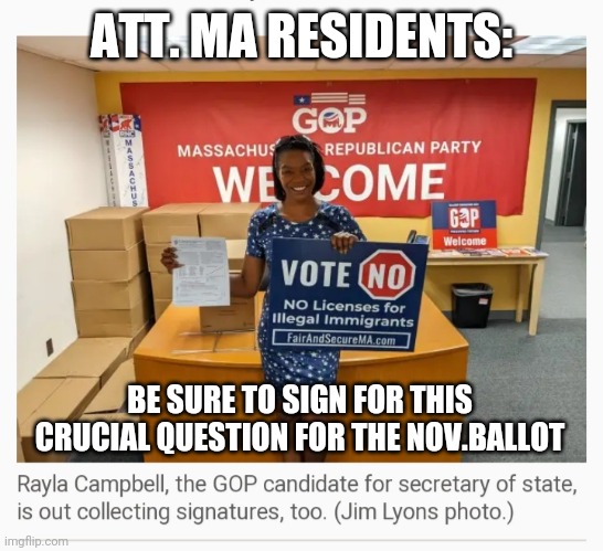 Not just no, but HELL no!  40K needed | ATT. MA RESIDENTS:; BE SURE TO SIGN FOR THIS CRUCIAL QUESTION FOR THE NOV.BALLOT | image tagged in no,illegal immigrants,arrest,lying,democrats,liberals problem | made w/ Imgflip meme maker