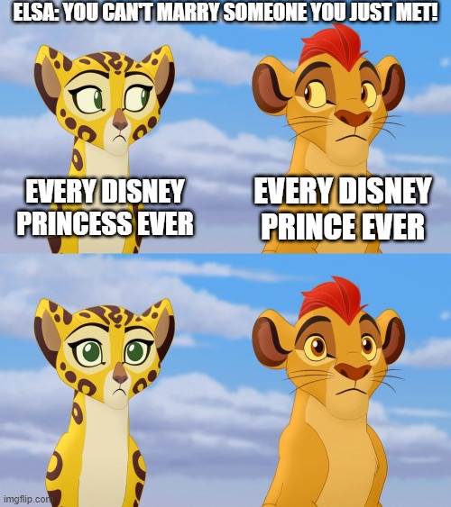 Heck, it's even the same thing with Kion and Rani! |  ELSA: YOU CAN'T MARRY SOMEONE YOU JUST MET! EVERY DISNEY PRINCESS EVER; EVERY DISNEY PRINCE EVER | image tagged in kion and fuli side-eye,disney princesses,disney,elsa frozen | made w/ Imgflip meme maker
