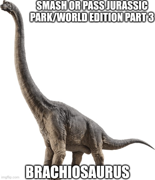 Part 3 (I know what your answers are, so go ahead knock yourselves out) | SMASH OR PASS JURASSIC PARK/WORLD EDITION PART 3; BRACHIOSAURUS | image tagged in brachiosaurus | made w/ Imgflip meme maker