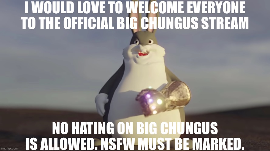 Welcome everyone | I WOULD LOVE TO WELCOME EVERYONE TO THE OFFICIAL BIG CHUNGUS STREAM; NO HATING ON BIG CHUNGUS IS ALLOWED. NSFW MUST BE MARKED. | image tagged in big chungus w/t infinity gantlet,welcome | made w/ Imgflip meme maker