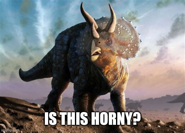 Is this horny to you guys? | IS THIS HORNY? | image tagged in triceratops | made w/ Imgflip meme maker