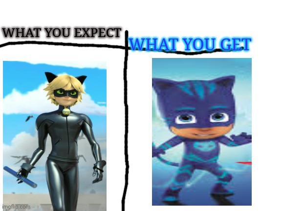 Every masterpiece has it's cheap copy | WHAT YOU GET; WHAT YOU EXPECT | image tagged in miraculous ladybug | made w/ Imgflip meme maker