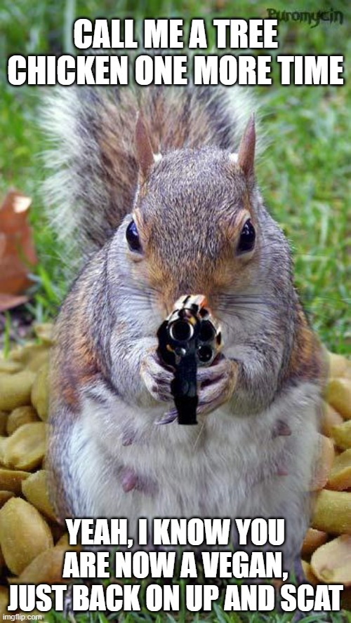 Go for a walk in the woods, she says, it will relax you | CALL ME A TREE CHICKEN ONE MORE TIME; YEAH, I KNOW YOU ARE NOW A VEGAN, JUST BACK ON UP AND SCAT | image tagged in funny squirrels with guns 5,walk in the woods,tree chicken,i am a vegan,relaxing,today the squirrel won | made w/ Imgflip meme maker