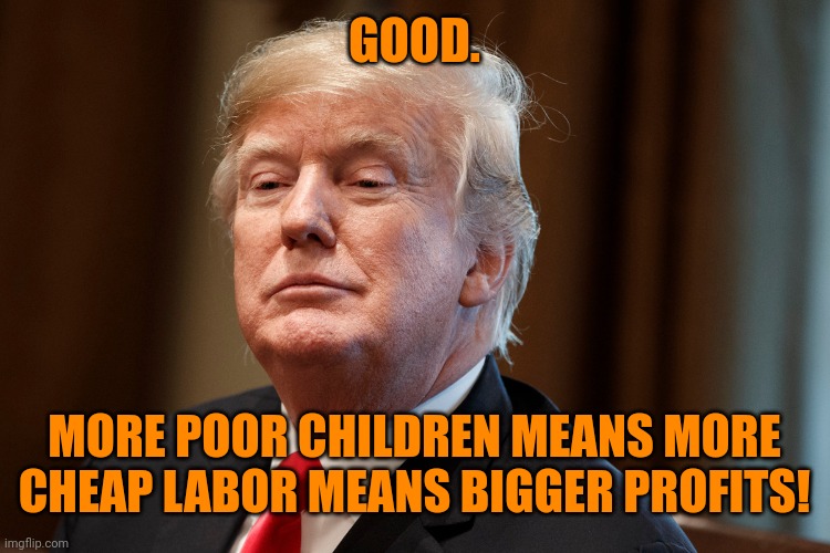 Trump | GOOD. MORE POOR CHILDREN MEANS MORE CHEAP LABOR MEANS BIGGER PROFITS! | image tagged in trump | made w/ Imgflip meme maker