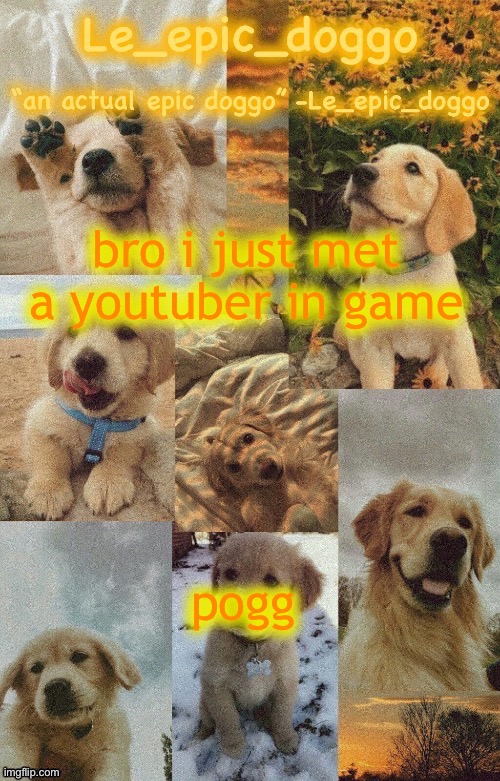 Doggo temp by doggo. Wait what that’s confusing | bro i just met a youtuber in game; pogg | image tagged in doggo temp by doggo wait what that s confusing | made w/ Imgflip meme maker