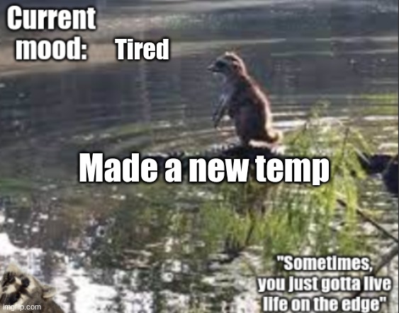 Jade's raccoon temp | Tired; Made a new temp | image tagged in jade's raccoon temp | made w/ Imgflip meme maker