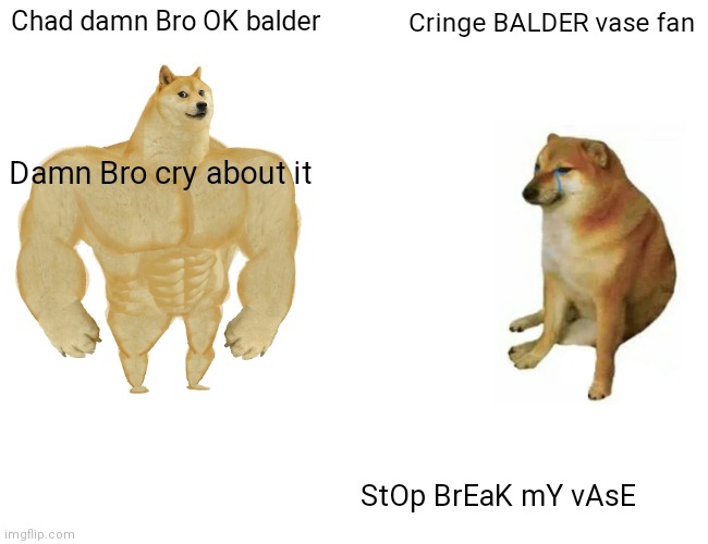 Buff Doge vs. Cheems Meme | Chad damn Bro OK balder; Cringe BALDER vase fan; Damn Bro cry about it; StOp BrEaK mY vAsE | image tagged in memes,buff doge vs cheems | made w/ Imgflip meme maker