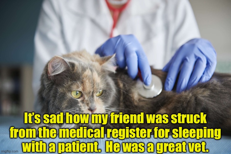 Veterinary surgeon | It’s sad how my friend was struck from the medical register for sleeping with a patient.   He was a great vet. | image tagged in veterinary clinic in wayanad,sad,friend struck off,medical register,patient,veterinary surgeon | made w/ Imgflip meme maker