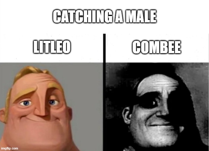 Male Combee don't evolve | CATCHING A MALE; LITLEO; COMBEE | image tagged in teacher's copy,memes,pokemon,mr incredible becoming uncanny,combee,why are you reading this | made w/ Imgflip meme maker