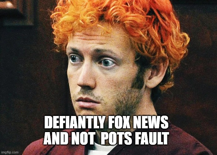 DEFIANTLY FOX NEWS AND NOT  POTS FAULT | made w/ Imgflip meme maker