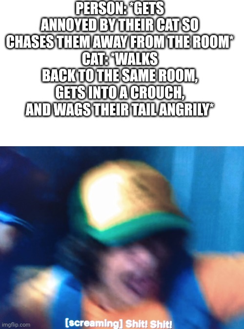 *chuckles* I'm in danger. | PERSON: *GETS ANNOYED BY THEIR CAT SO CHASES THEM AWAY FROM THE ROOM*
CAT: *WALKS BACK TO THE SAME ROOM, GETS INTO A CROUCH, AND WAGS THEIR TAIL ANGRILY* | image tagged in oh shit,evil cat | made w/ Imgflip meme maker