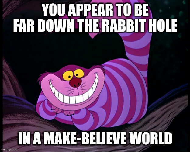 Cheshire Cat | YOU APPEAR TO BE FAR DOWN THE RABBIT HOLE IN A MAKE-BELIEVE WORLD | image tagged in cheshire cat | made w/ Imgflip meme maker