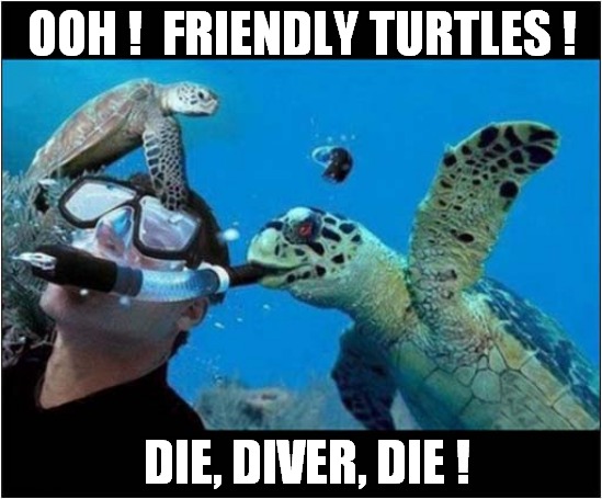 Danger Under The Sea ! | OOH !  FRIENDLY TURTLES ! DIE, DIVER, DIE ! | image tagged in diver,turtles,suffocation,dark humour | made w/ Imgflip meme maker