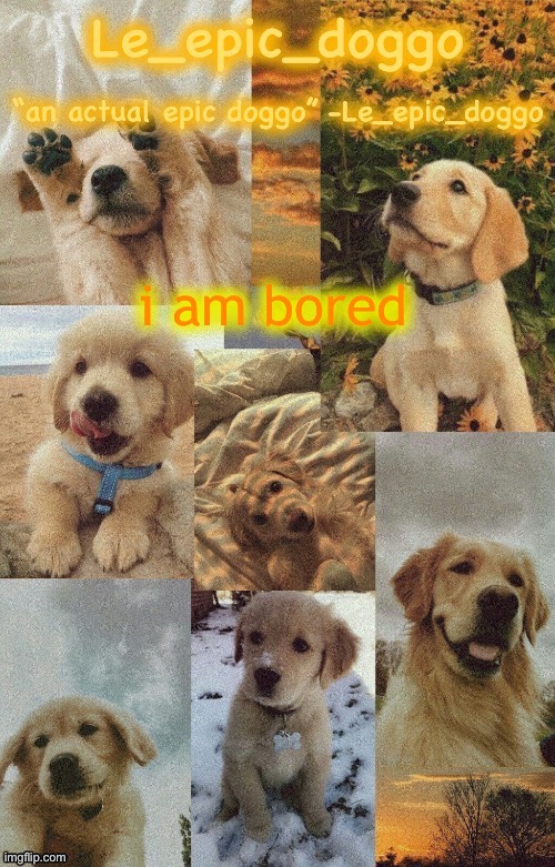 Doggo temp by doggo. Wait what that’s confusing | i am bored | image tagged in doggo temp by doggo wait what that s confusing | made w/ Imgflip meme maker