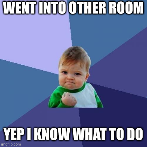 Success Kid Meme | WENT INTO OTHER ROOM YEP I KNOW WHAT TO DO | image tagged in memes,success kid | made w/ Imgflip meme maker