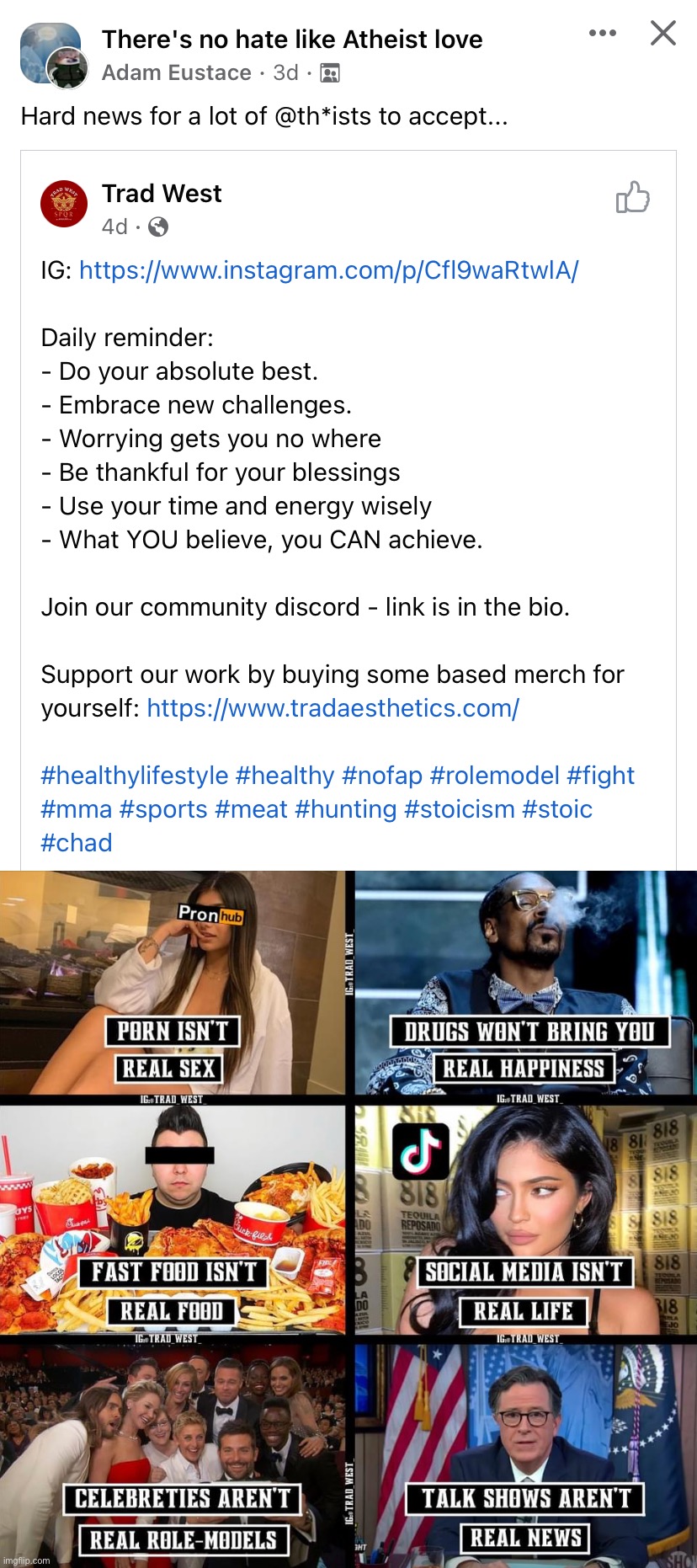 #healthylifestyle #healthy #nofap #rolemodel #fight #mma #sports #meat #hunting #stoicism #stoic #chad | image tagged in trad,healthy,based,nofap,mma,meat | made w/ Imgflip meme maker